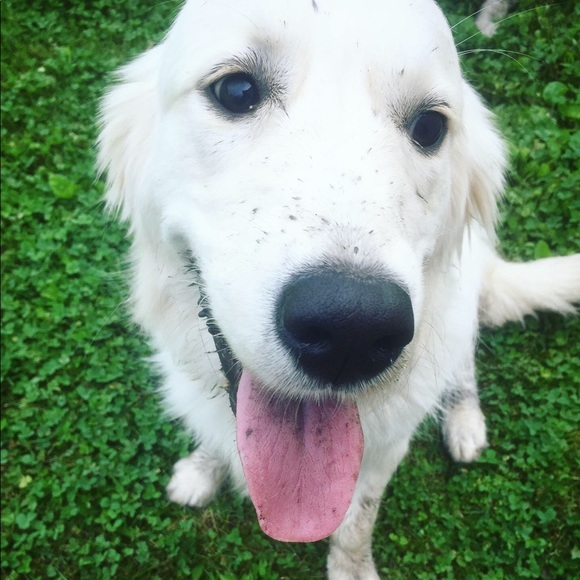 Meet me, Taylor! - Picture 5 of 6